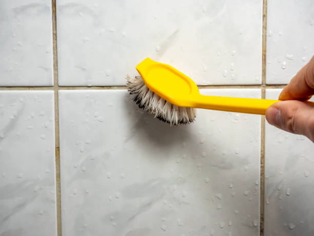 Best Residential Mold Removal  in Rockton, IL