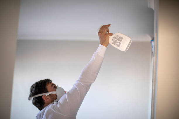 Best Mold Testing  in Rockton, IL