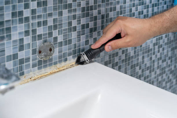 Best Best Mold Removal Companies  in Rockton, IL